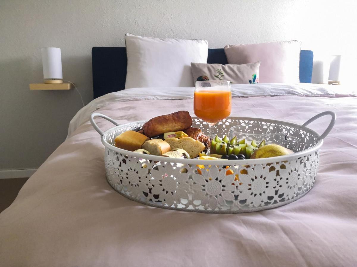 Appartement Toulouse Blagnac Aeroport Iut Parking Proche De Toutes Commodites Belle Terrasse Netflix Eksteriør bilde